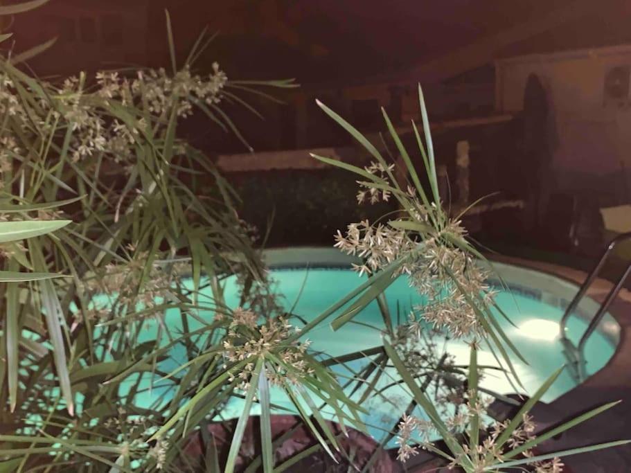 Piscine Cosy, 3 Chambres, 3 Sdb, Havre De Paix A 10 Min Des Plages Mauguio Exterior foto